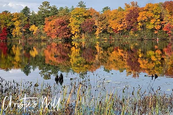 ToDoOntario - Christie's Mill Inn & Spa, fall colours