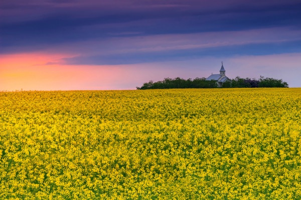 Local Tour Company Romania