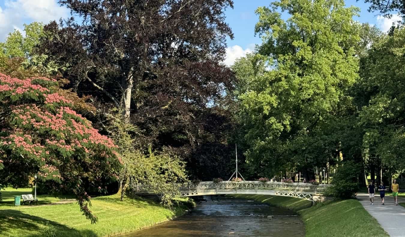 Serene view near the river in Baden-Baden, situated in the Black Forest region of Germany