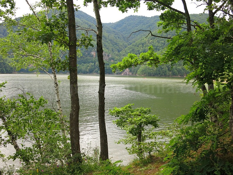 Tarnița Lake