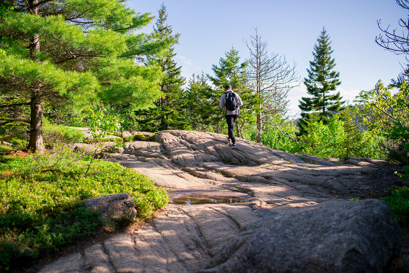 Hiking Adventures in Acadia National Park, Maine
