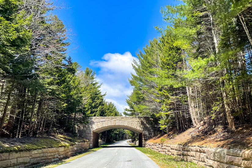 Adventures in Acadia National Park, Maine